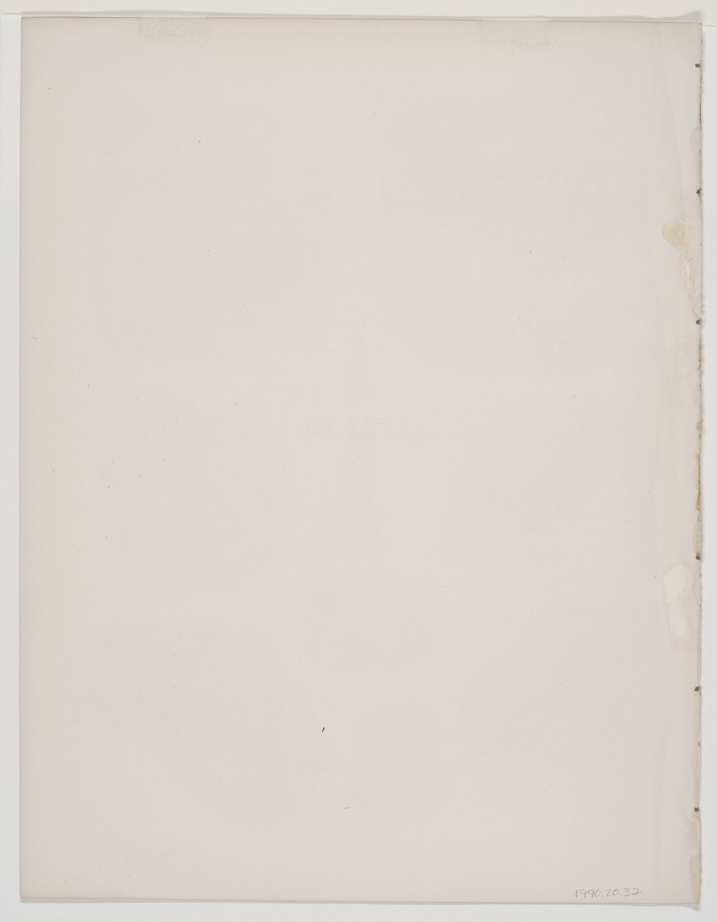 A black-and-white print of various fossilized impressions of plant stems and leaves.