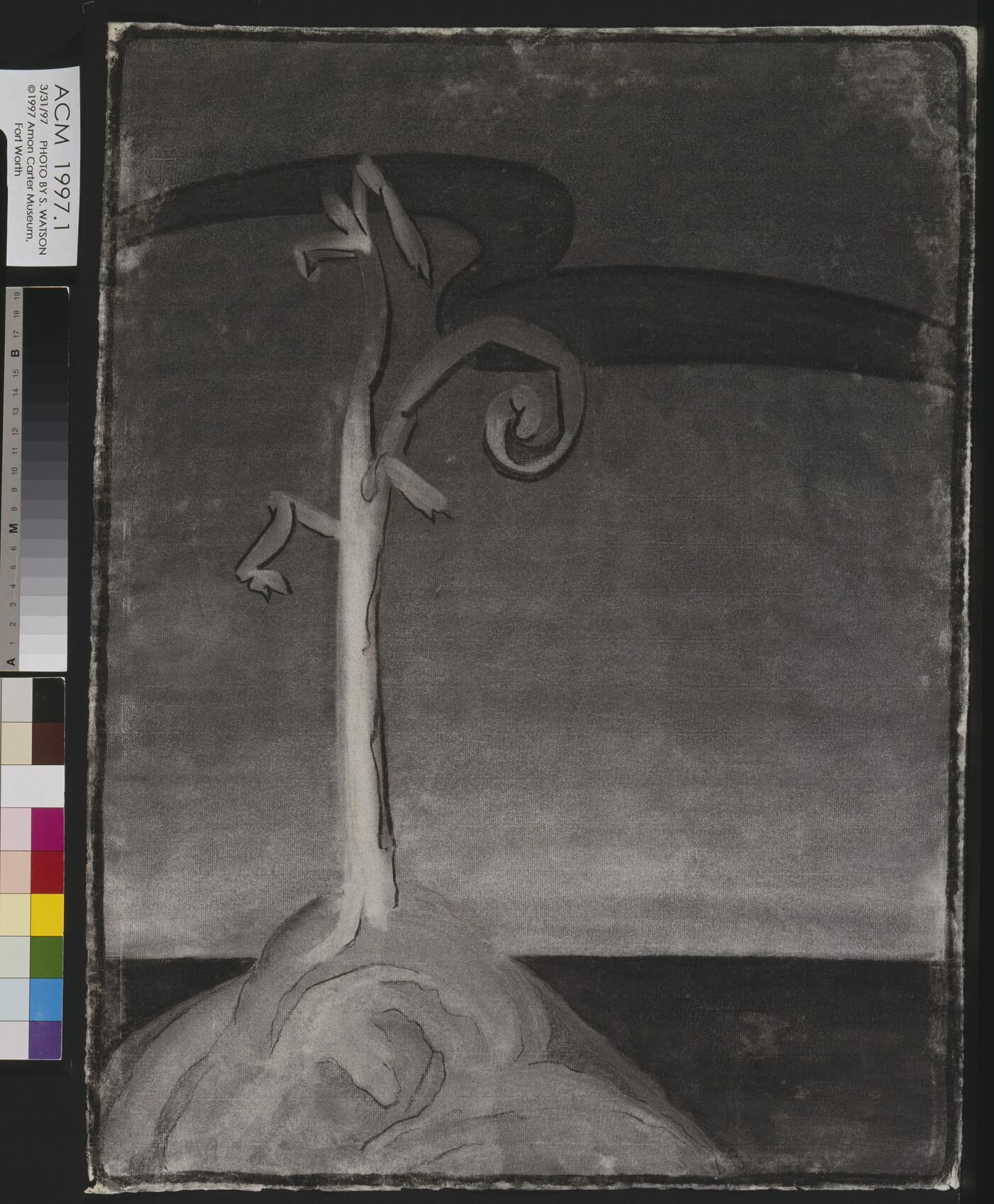 A charcoal drawing of an abstracted bare tree rising up against a flat landscape.