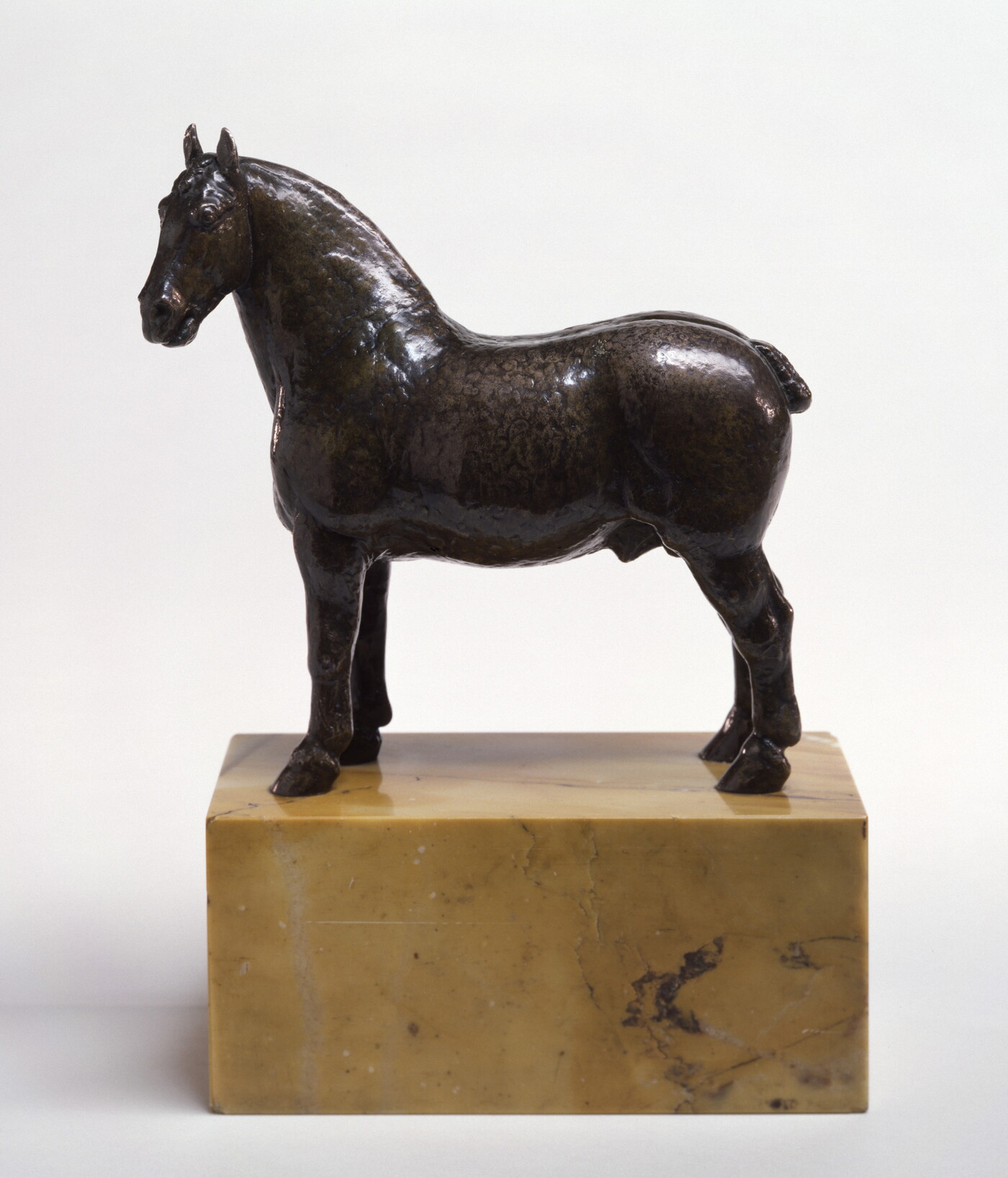 A bronze sculpture of a stallion with a bobbed tail standing on a stone base.