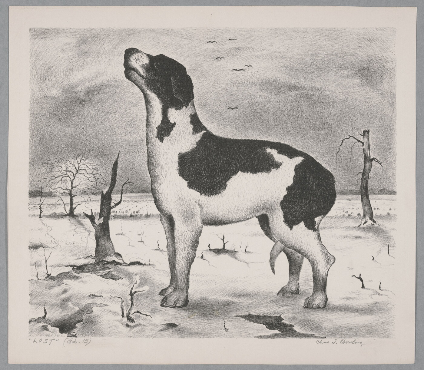 A black-and-white print of a black-and-white dog, tail tucked between its legs, standing alone outside in a desolate landscape.