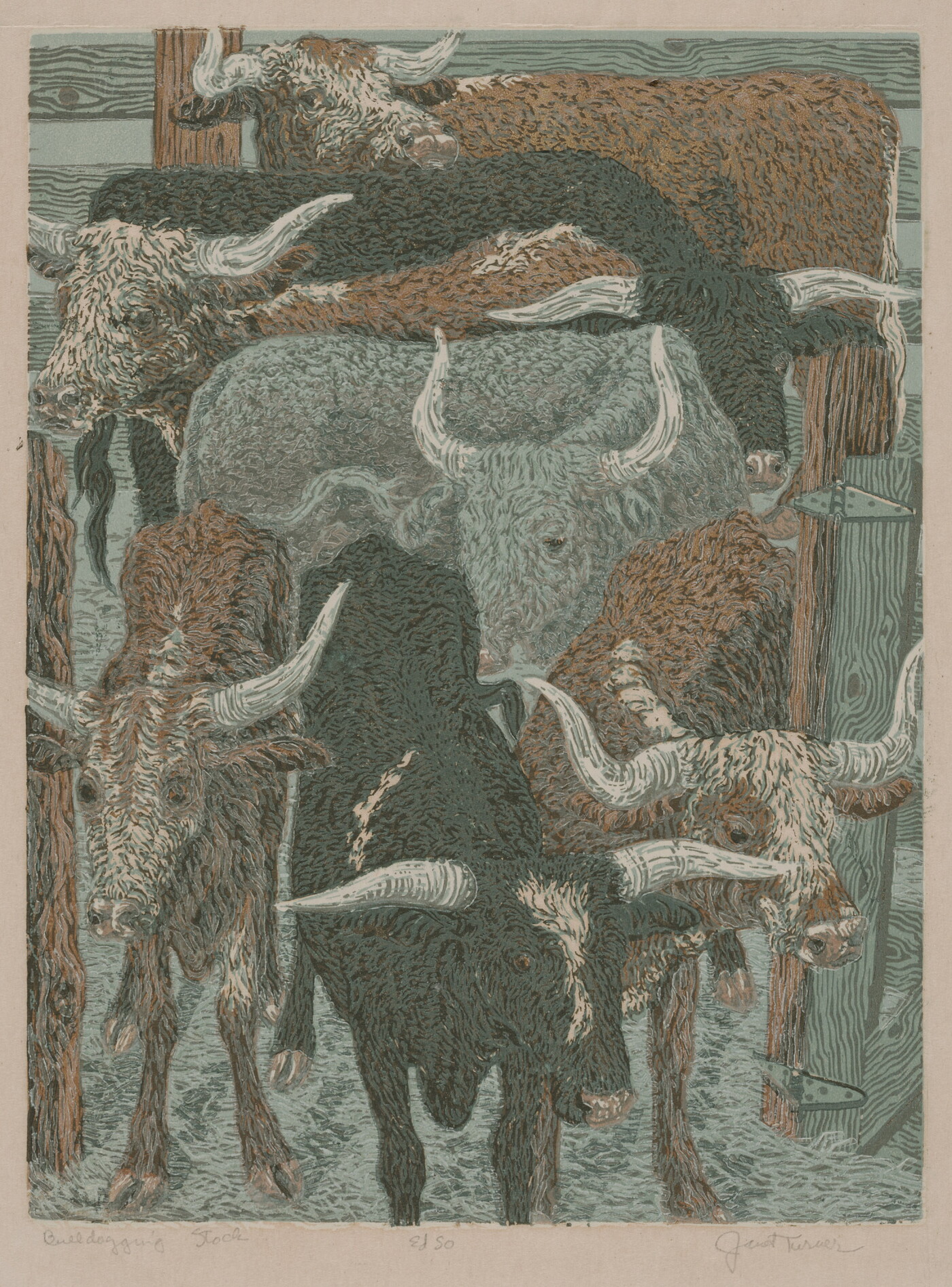 A color print of black, brown-and-white, and gray longhorn bulls in a pen.