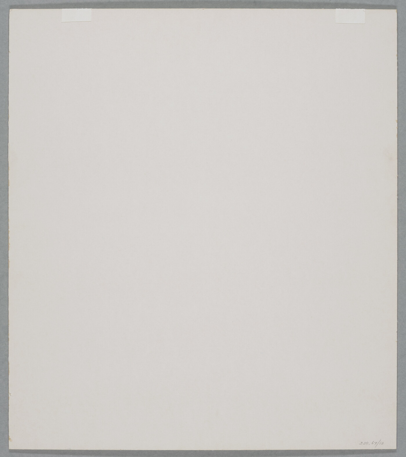 A black-and-white close-up photograph of twisted white tree roots growing out of dark soil.