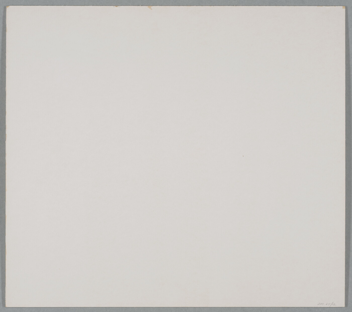 A black-and-white close-up photograph of the raised scars on the flesh of a cactus.