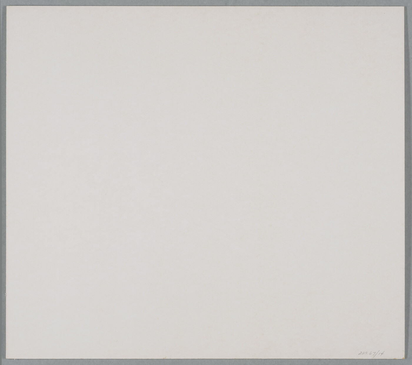 A black-and-white photograph of a turtle skeleton from the underside.