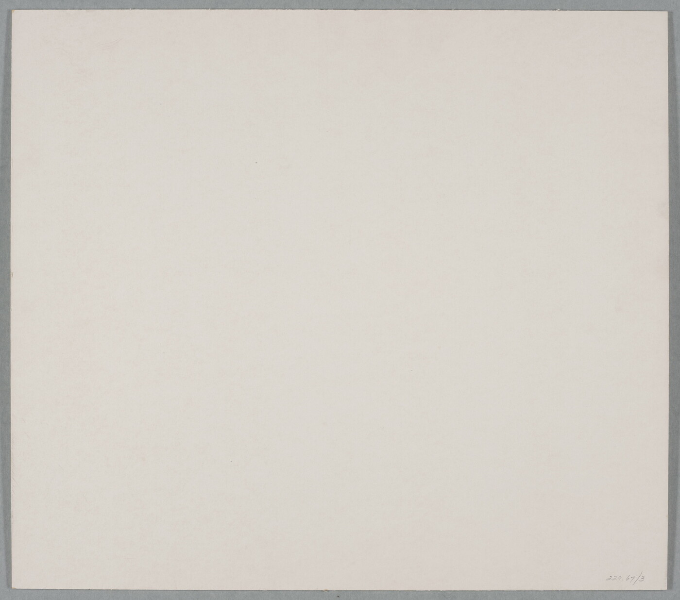 A black-and-white photograph of two multi-limbed cacti in front of a still body of water with hills in the distance.