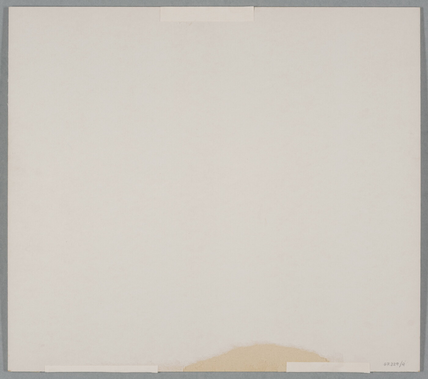 A black-and-white photograph of silhouetted plant stems, narrow cacti, and hills against the sky.