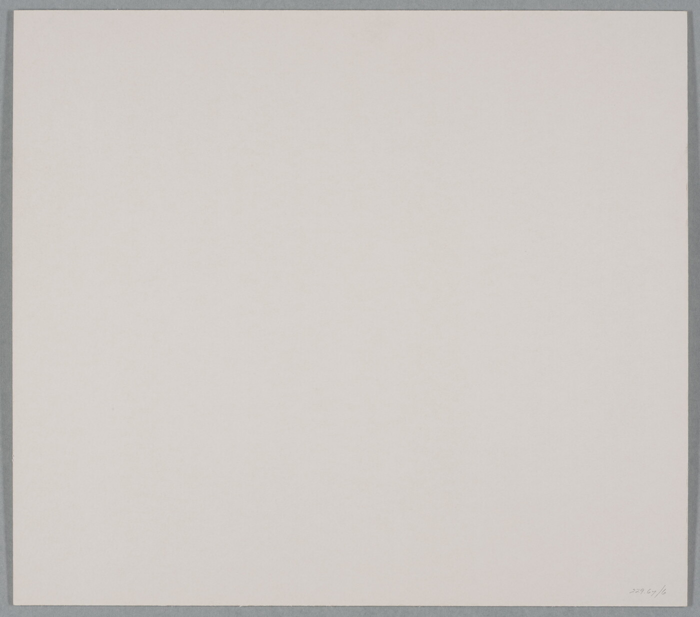 A black-and-white photograph of many-armed cacti growing on sandy soil.