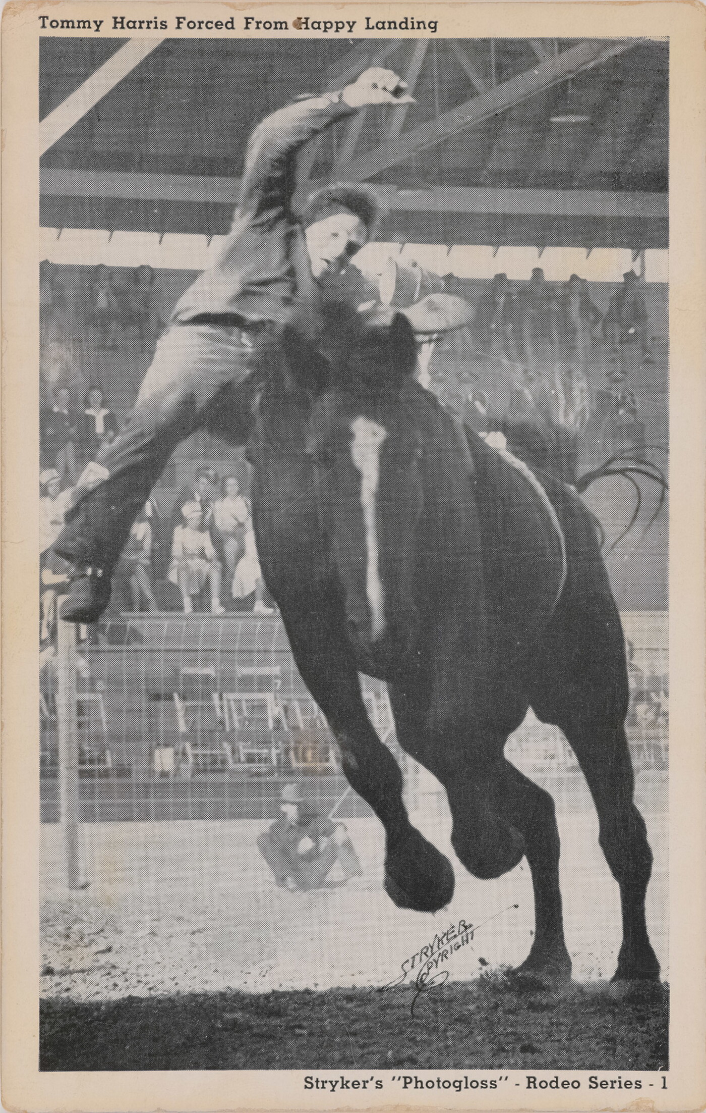 A black-and-white photograph of a White man being thrown from a horse in an arena full of spectators.