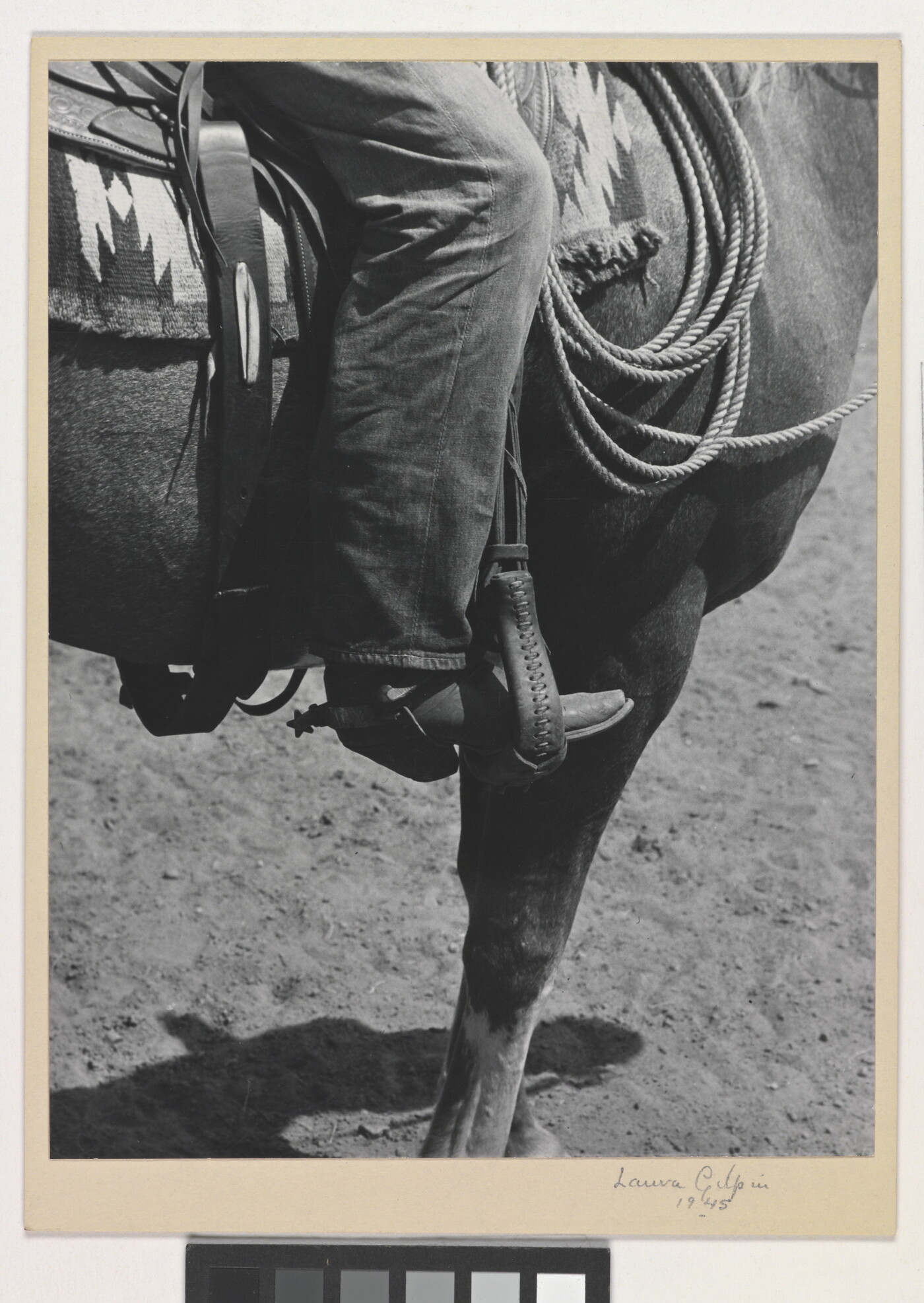 A black-and-white photograph of a person&#039;s leg in a cowboy boot, including spurs, sitting astride a horse, viewing only the horse&#039;s front quarter.