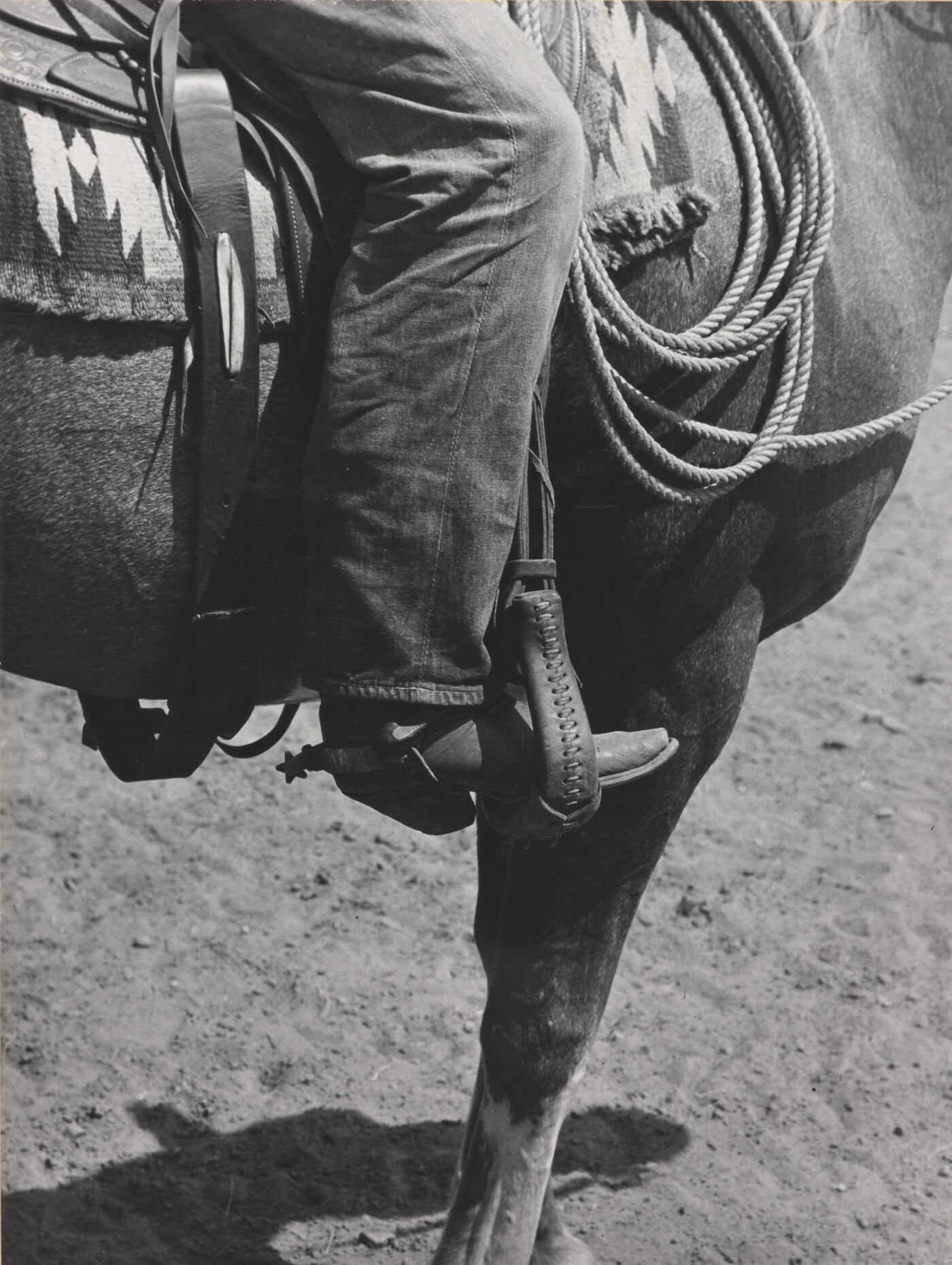 A black-and-white photograph of a person&#039;s leg in a cowboy boot, including spurs, sitting astride a horse, viewing only the horse&#039;s front quarter.
