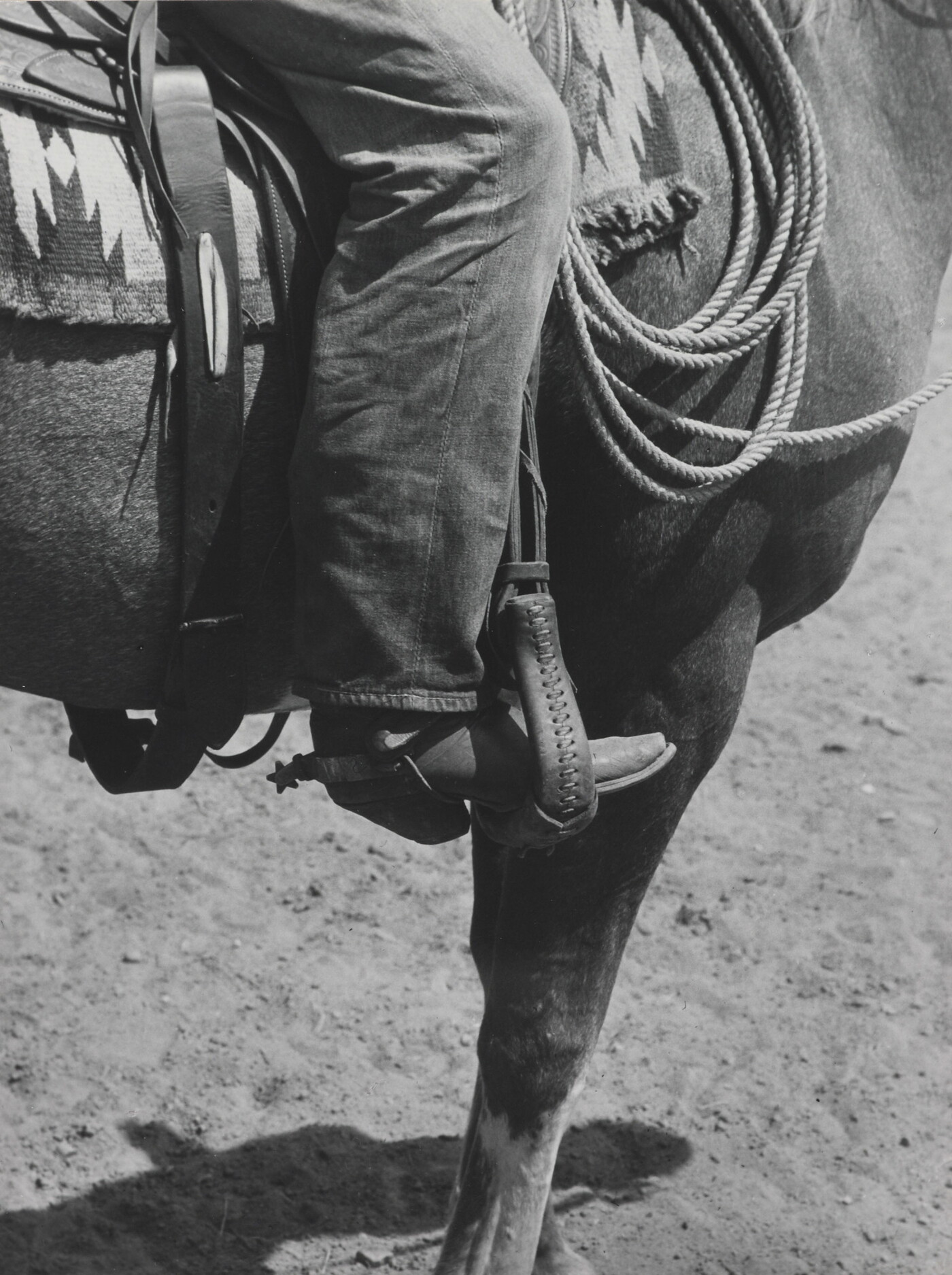 A black-and-white photograph of a person&#039;s leg in a cowboy boot, including spurs, sitting astride a horse, viewing only the horse&#039;s front quarter.
