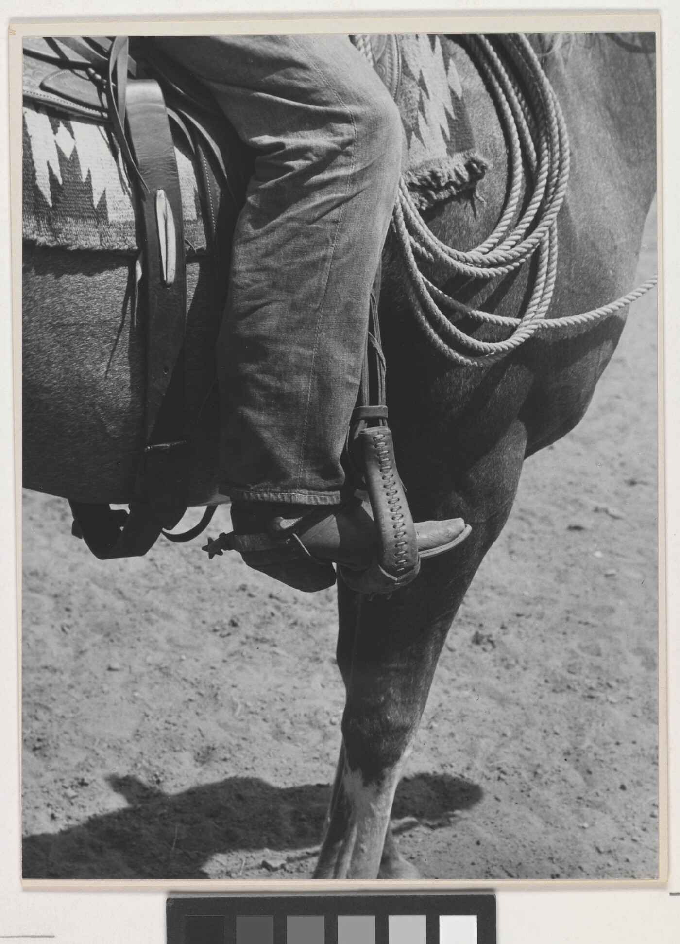 A black-and-white photograph of a person&#039;s leg in a cowboy boot, including spurs, sitting astride a horse, viewing only the horse&#039;s front quarter.