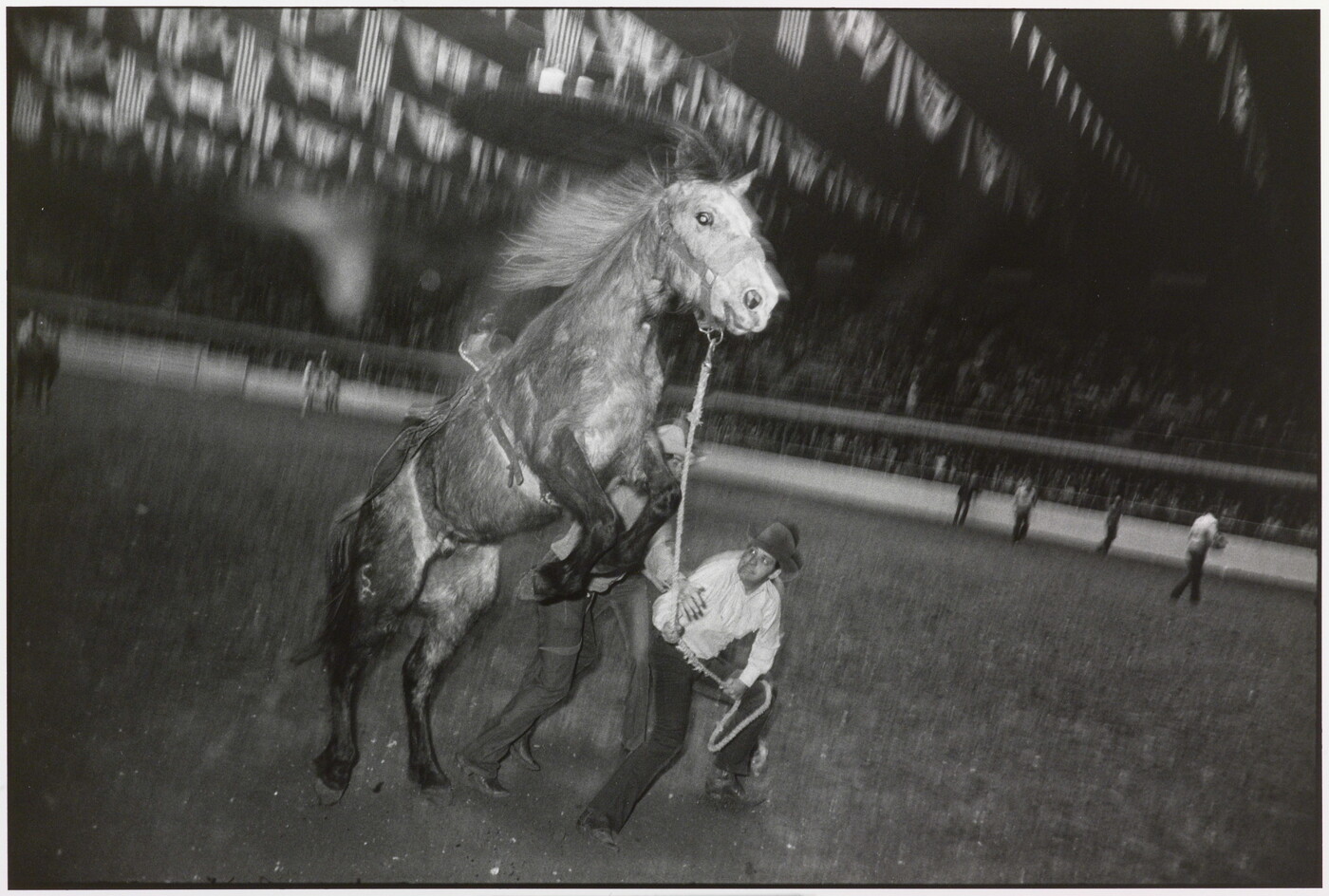 A black-and-white photograph of a man trying to control a rearing horse with a rope in an arena.