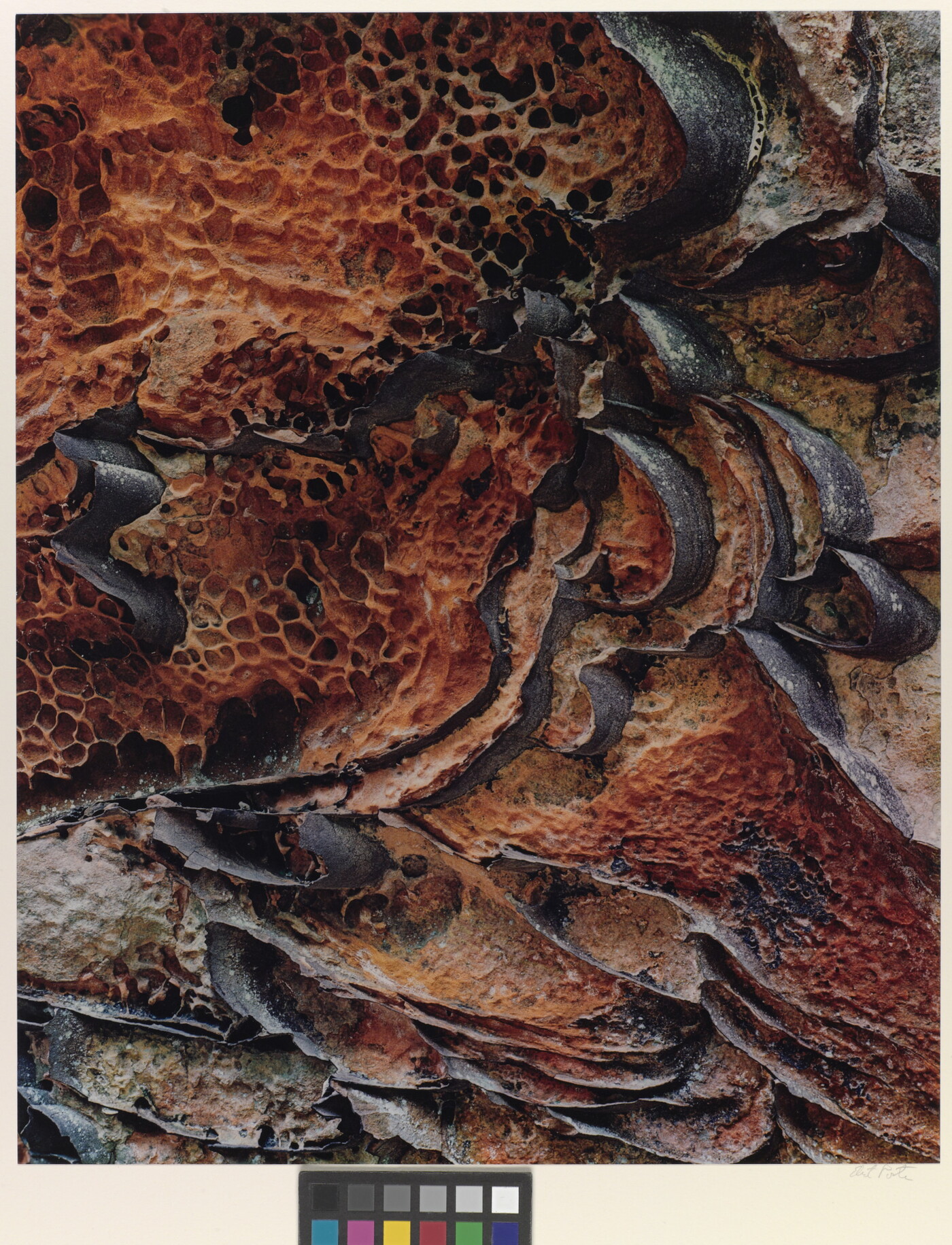 A color close-up photograph of black ribbon patterns scattered among red stone that looks like honeycombs.