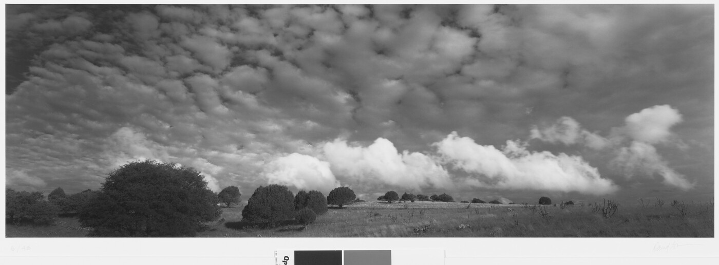 A black-and-white panoramic photograph of puffy white clouds over a field with trees.
