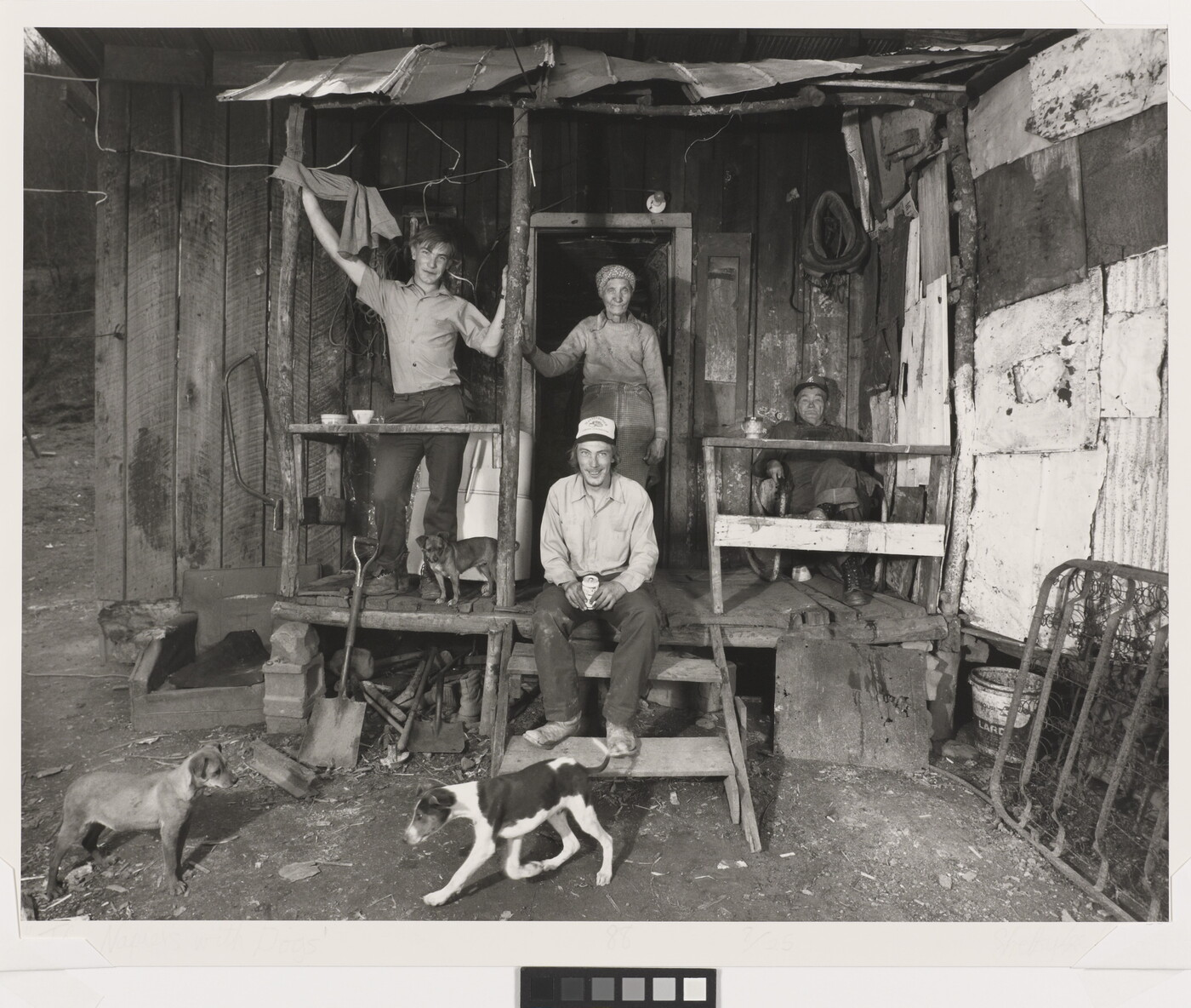 A black-and-white photograph of two people standing, two sitting, and a small dog on the porch of a shack as two dogs play in the dirt yard in front of them.