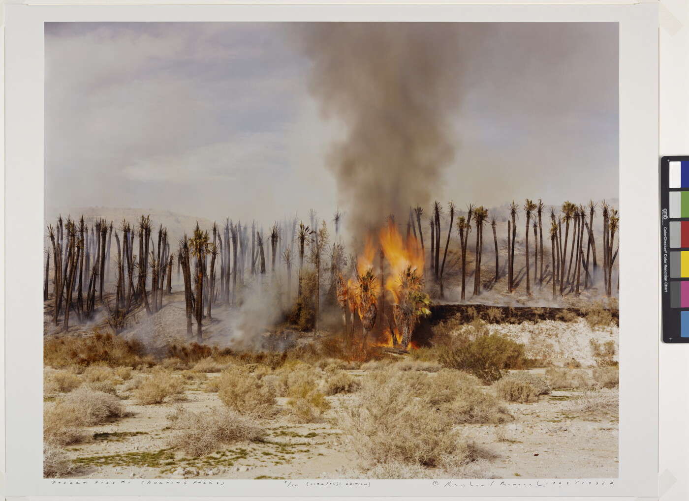 A color photograph of palm trees on fire in a desert.