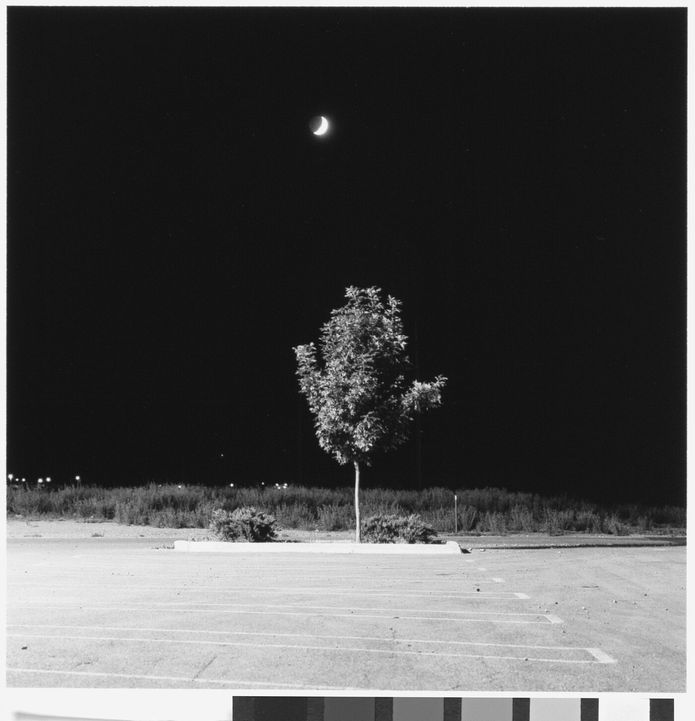 A black-and-white photograph of a lone tree and shrubs in a parking lot island in front of a grassy field under a crescent moon at night.
