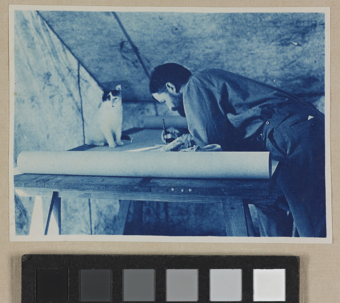 A black-and-white photograph of a man leaning over a drafting table in a tent as a white-and-black cat sits on the table in front of him.