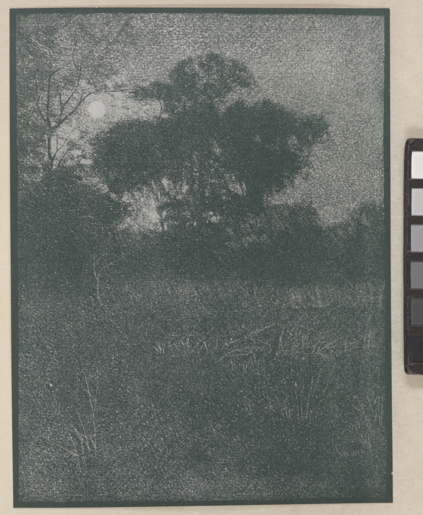 A dark, soft-focus, black-and-white of a bright moon rising from behind trees.