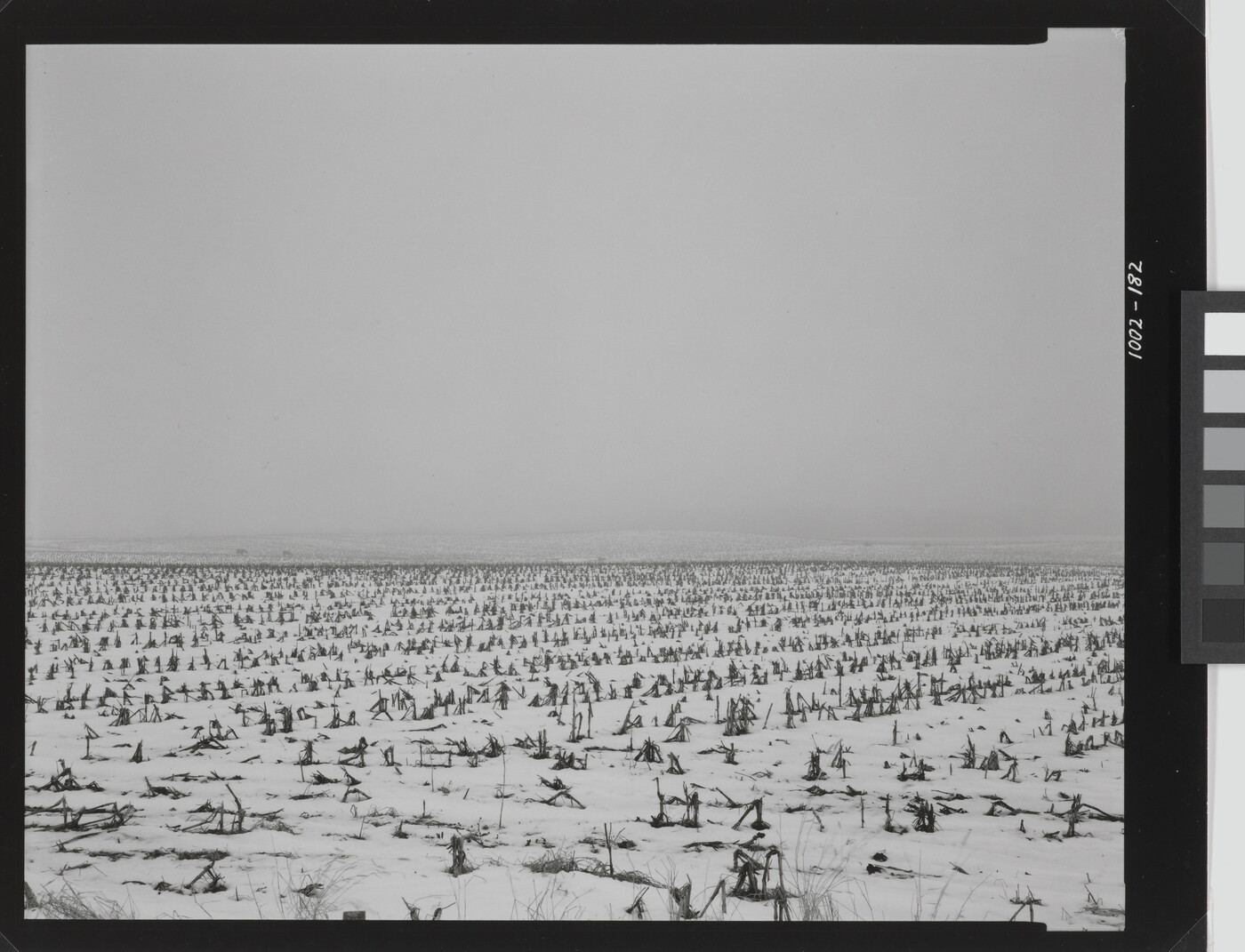 A black-and-white photograph of a flat landscape with snow partially covering dead crops under a cloudy sky.