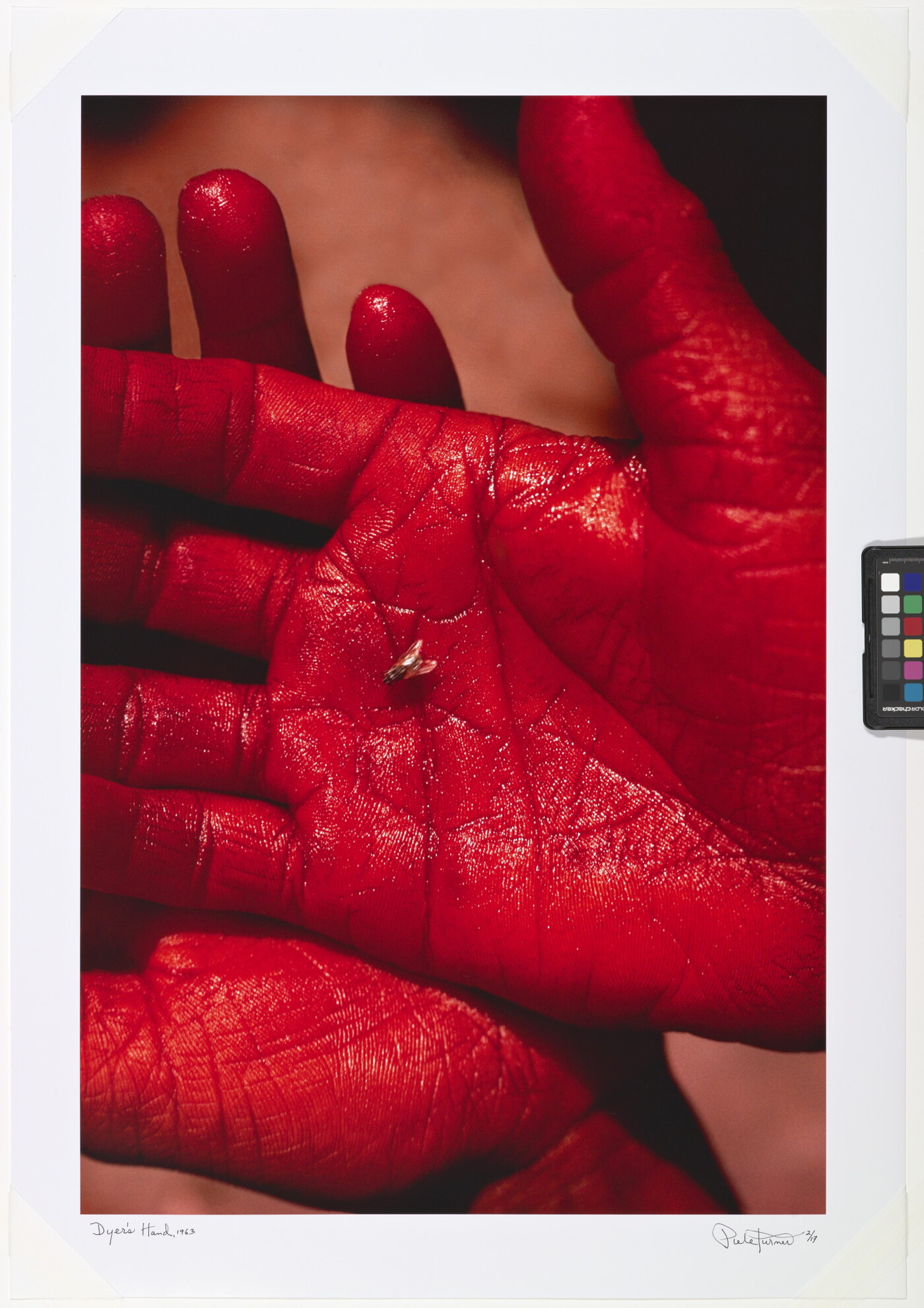 A color photograph of two vibrantly red-dyed hands stacked on each other with a fly in the palm of top hand.