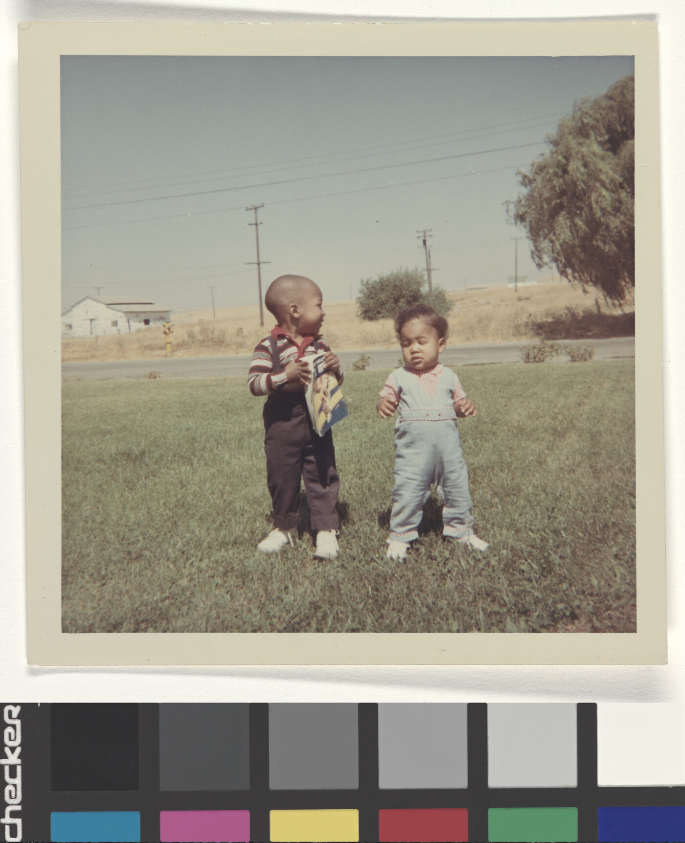A color photograph of two Black toddlers standing in a grassy yard.