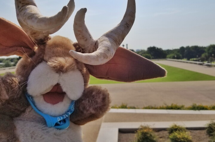 A jackalope hand puppet wearing a blue bandana "stands" outside on the Museum's grounds.