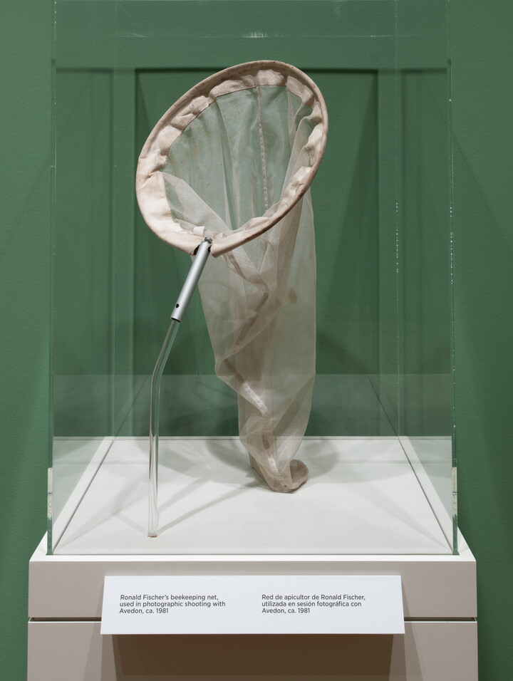 A large net in a display case.