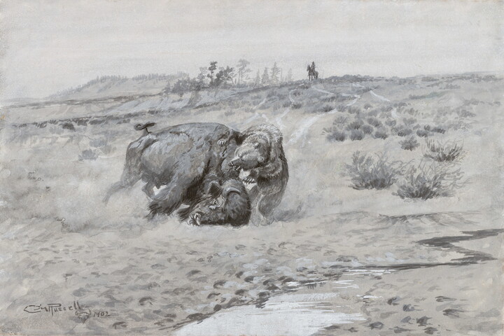 A painting of a bison and a bear fighting while a person on horseback watches from a distance.