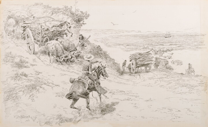 A black-and-white drawing of a cowboy directing ox-pulled carts carrying cowhides down a hill.