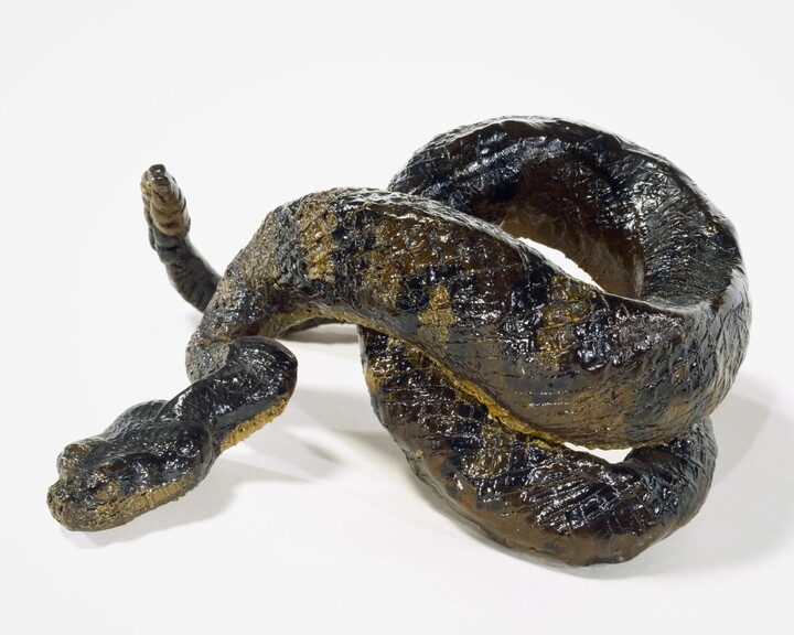 A painted sculpture of a coiled, multicolored rattlesnake.