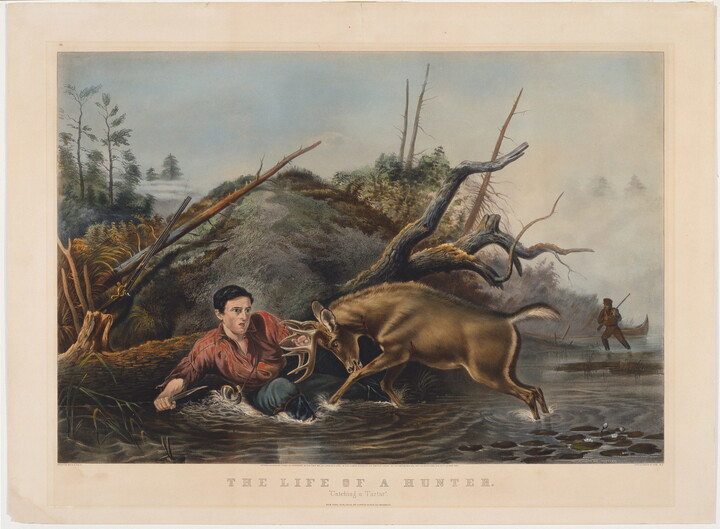 A color print of a stag headbutting a man who is crouched in a creek holding a knife.