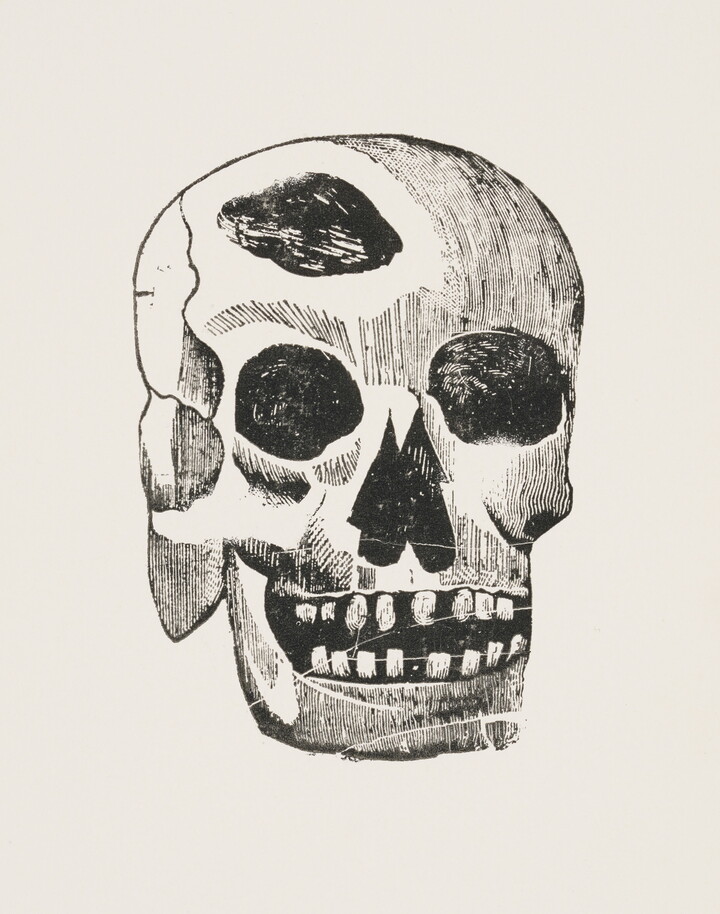 A black-and-white print of an illustration of a human skull showing a piece missing from the top.