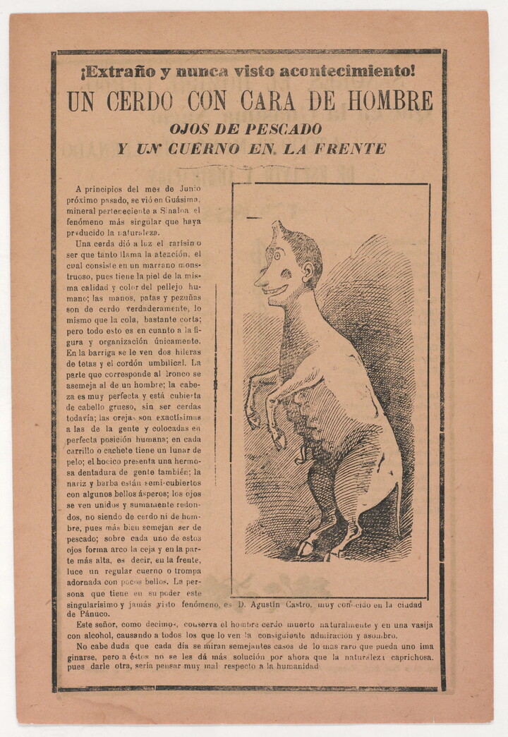 A black-and-white printed leaflet with Spanish text next to an illustration of a hooved creature with a human-like head standing on two legs.