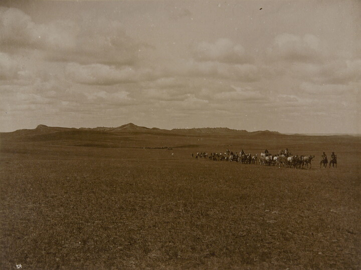 A black-and-white photograph of a herd of cattle and several cowboys on a prairie with mountains in the far distance. 