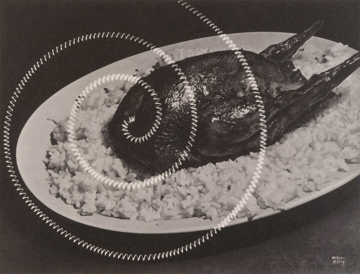 A black-and-white photograph of roasted poultry on a bed of white rice with an electric coil spiraled over it.
