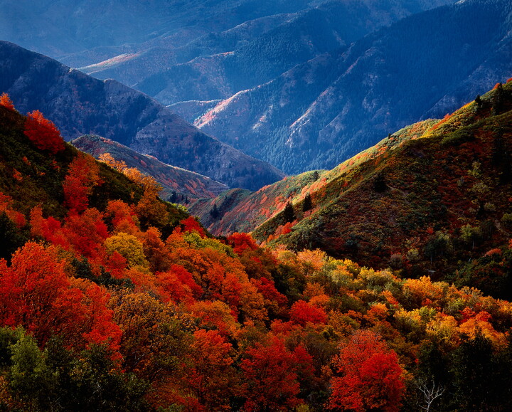 Robert Glenn Ketchum | Amon Carter Museum of American Art