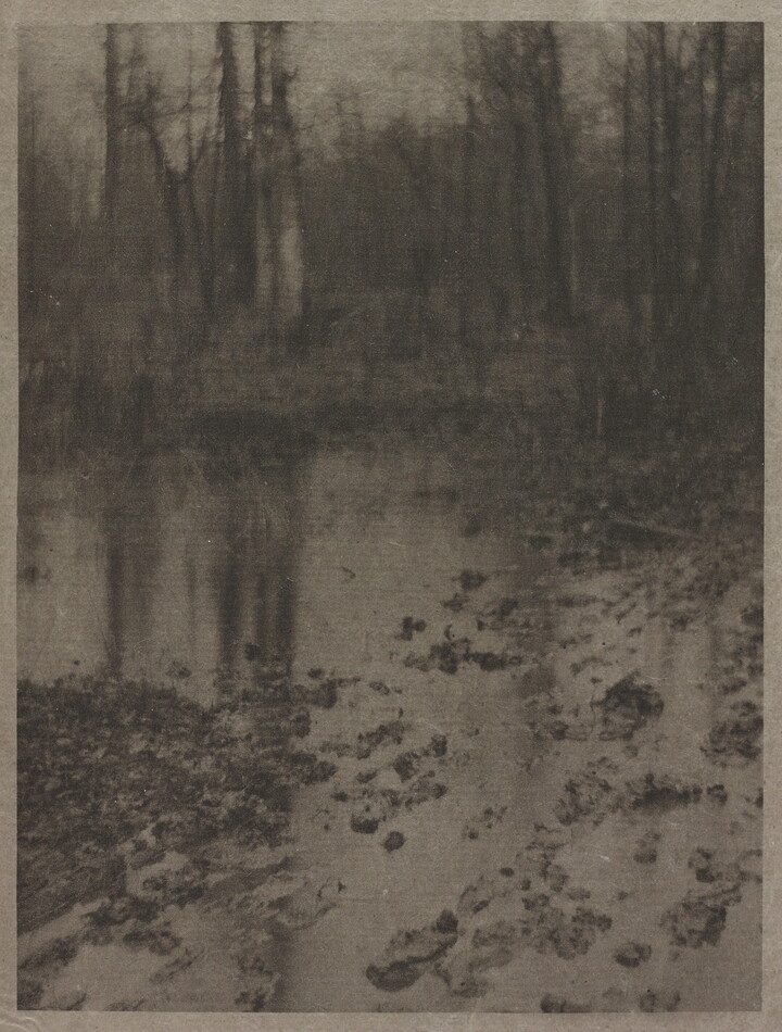 A soft-focused, black-and-white photograph of a muddy pool of water with tall, leafless trees in the background.