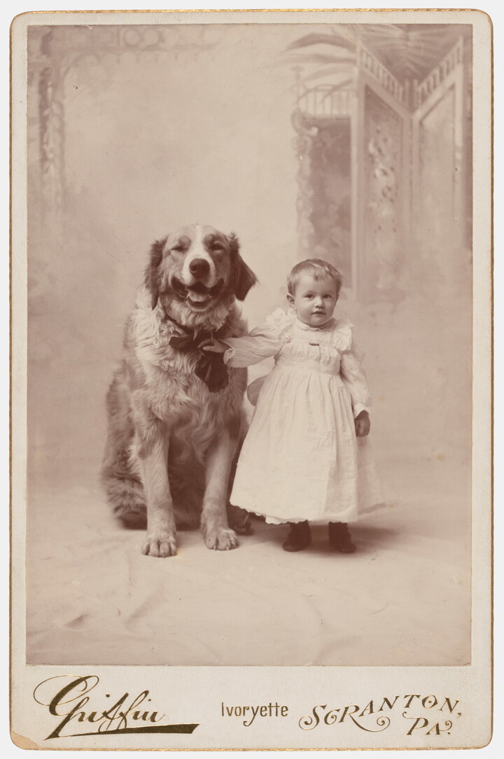 A black-and-white studio photograph of a White toddler in a white dress standing next to a large dog and holding onto its collar. 