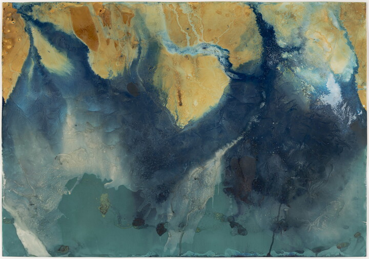An abstract color photograph of leaves and plants trapped in the ice of a stream.