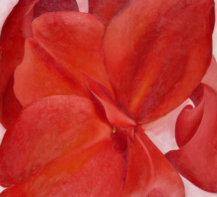 An oil painting of an extreme close up, abstracted view of a red flower.