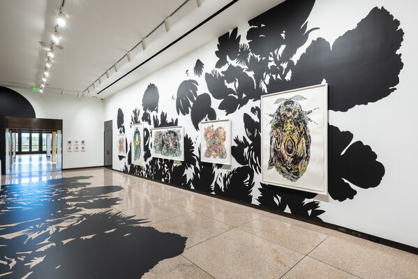 An installation photo of five framed artworks hanging on a wall covered with black silhouettes of plants and flowers. 