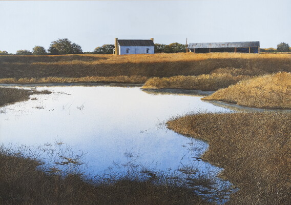 A watercolor painting of a swampy pond surrounded by gold grass with a white barn in the distance.