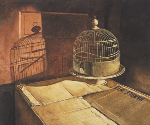 A watercolor painting of a domed birdcage sitting on top of a cardboard box; light cast a shadow of the birdcage onto the wall behind it.