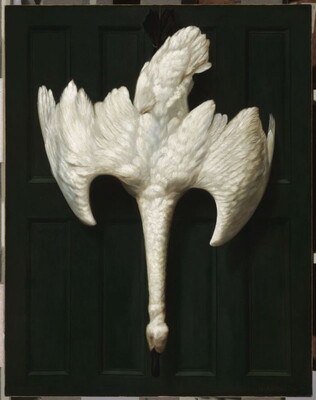 A realistic oil painting of a dead white swan hanging on a wall, head down and wings outstretched.