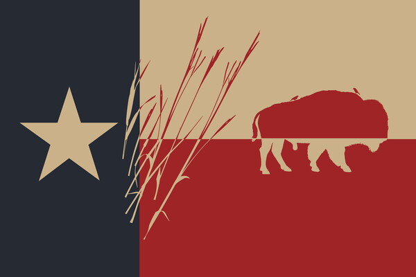 A painting of the Texas state flag with silhouettes of prairie grass and a bison on it.