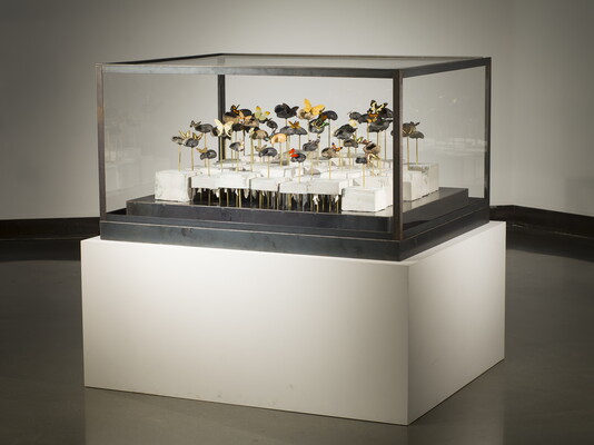 A glass case containing a sculpture made of many accumulated pieces of natural material including whale ear bones and mounted butterflies.