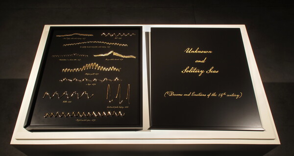 Two steel plates arranged like book pages with various waveforms and their identifications in gold.