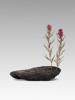 A realistic sculpture made of bronze and clay that looks like a burnt log with tall pink flowers growing from it.